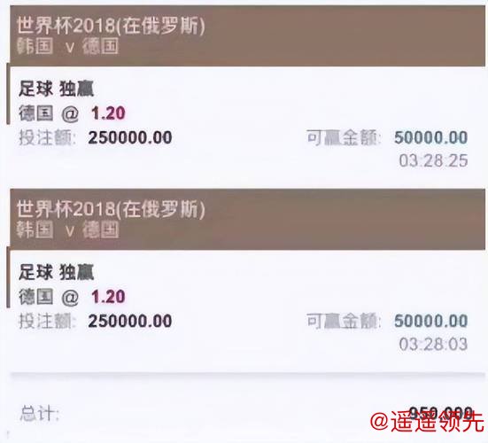 世界杯投注免费最新网址推荐平台